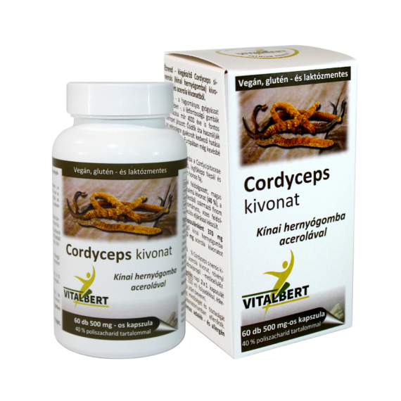Kínai hernyógomba-Cordyceps gyógygomba kivonat kapszula 60 db, 500 mg Vitalbert (1 havi adag)